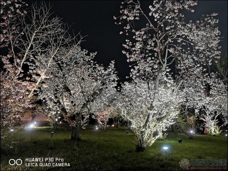 HUAWEI P30 Pro 京都大阪賞櫻隨手拍 - 35 HUAWEI P30 Pro 京都大阪賞櫻隨手拍 - 35
