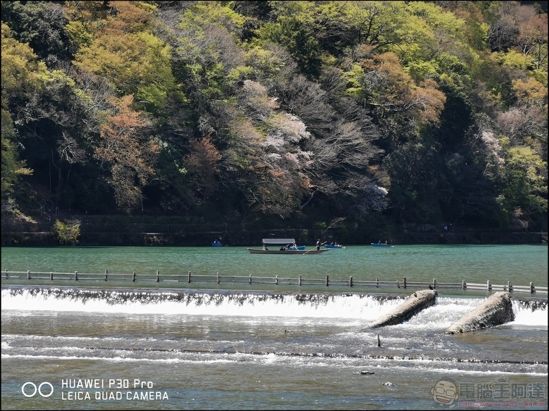 HUAWEI P30 Pro 京都大阪賞櫻隨手拍 - 41 HUAWEI P30 Pro 京都大阪賞櫻隨手拍 - 41