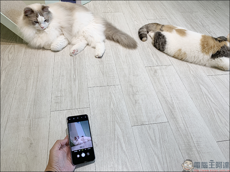 ASUS ZenFone 6 開箱、評測、動手玩 :全新翻轉鏡頭設計、 5000mAh 大電量超強續航表現,旗艦級 ZenFone 有史以來最大幅進化! - 電腦王阿達 ASUS ZenFone 6 開箱、評測、動手玩 :全新翻轉鏡頭設計、 5000mAh 大電量超強續航表現,旗艦級 ZenFone 有史以來最大幅進化! - 電腦王阿達