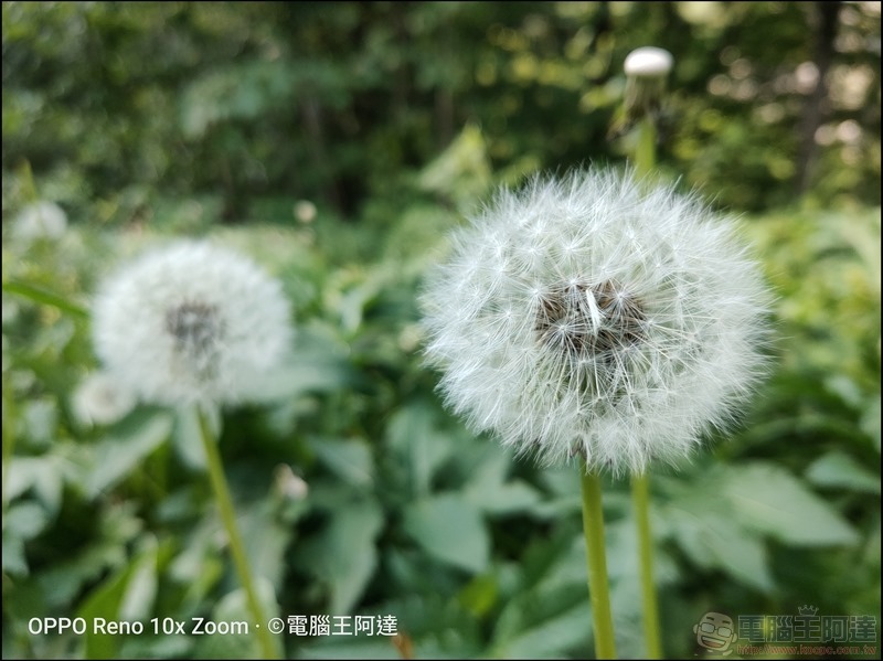 OPPO Reno 10倍變焦版 拍照樣張 - 025 OPPO Reno 10倍變焦版 拍照樣張 - 025