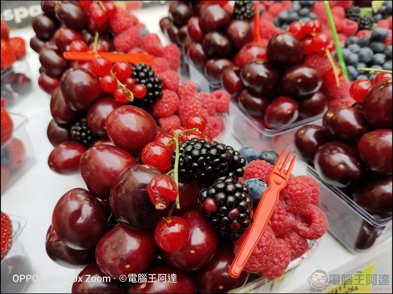 OPPO Reno 10倍變焦版 拍照樣張 - 037 OPPO Reno 10倍變焦版 拍照樣張 - 037