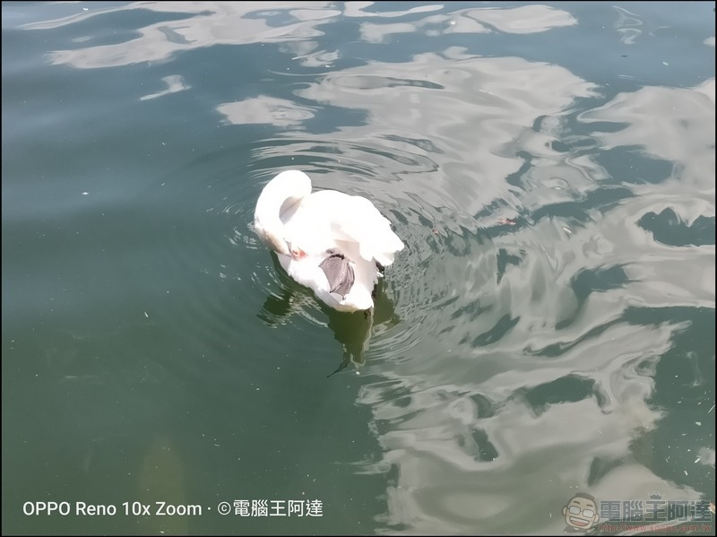 OPPO Reno 10倍變焦版 拍照樣張 - 092 OPPO Reno 10倍變焦版 拍照樣張 - 092