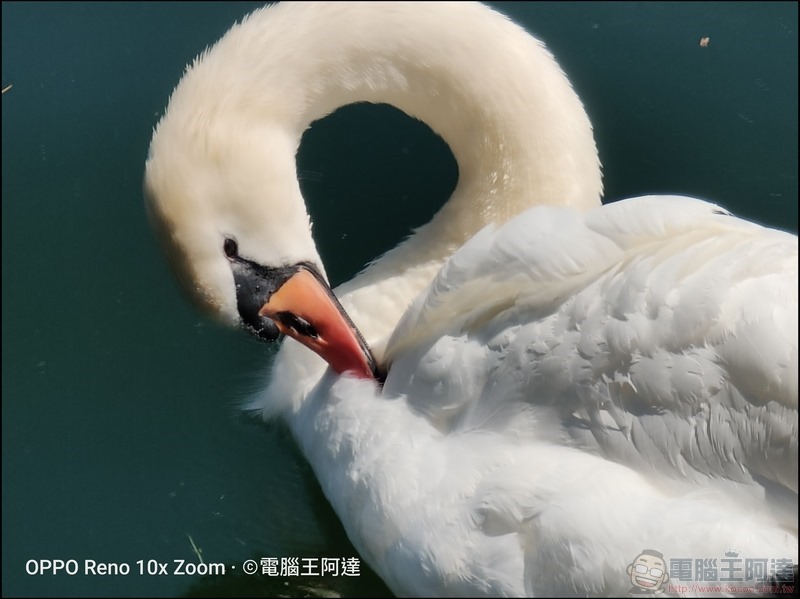 OPPO Reno 10倍變焦版 拍照樣張 - 094 OPPO Reno 10倍變焦版 拍照樣張 - 094