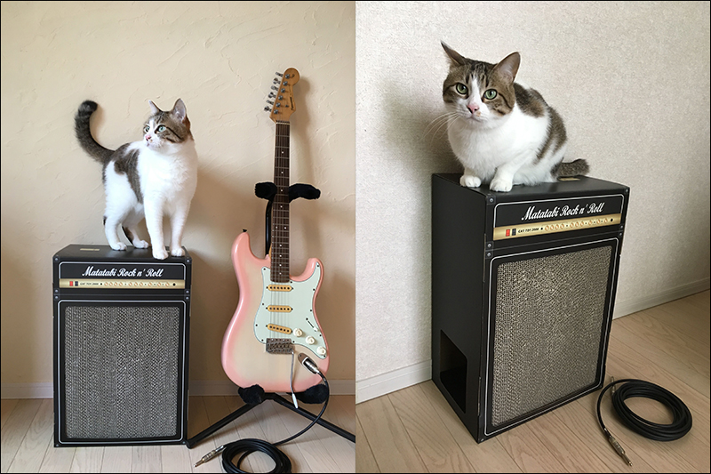 (可愛慎入) 日本推出的電吉他音箱抓貓板 ,讓喵星人也能在家當 Rocker - 電腦王阿達 (可愛慎入) 日本推出的電吉他音箱抓貓板 ,讓喵星人也能在家當 Rocker - 電腦王阿達