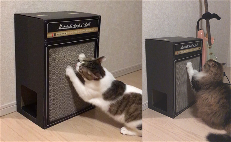 （可愛慎入） 日本推出的電吉他音箱抓貓板 ，讓喵星人也能在家當 Rocker - 電腦王阿達