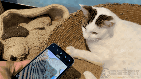 ZenFone 6 的六個創意實拍技巧分享 ,你也能輕易辦到 - 電腦王阿達 ZenFone 6 的六個創意實拍技巧分享 ,你也能輕易辦到 - 電腦王阿達