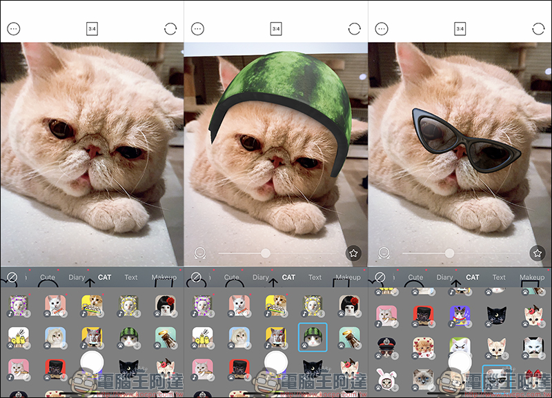 SNOW 美肌妝容 App 加入「貓咪」 AR 貼圖 - 電腦王阿達