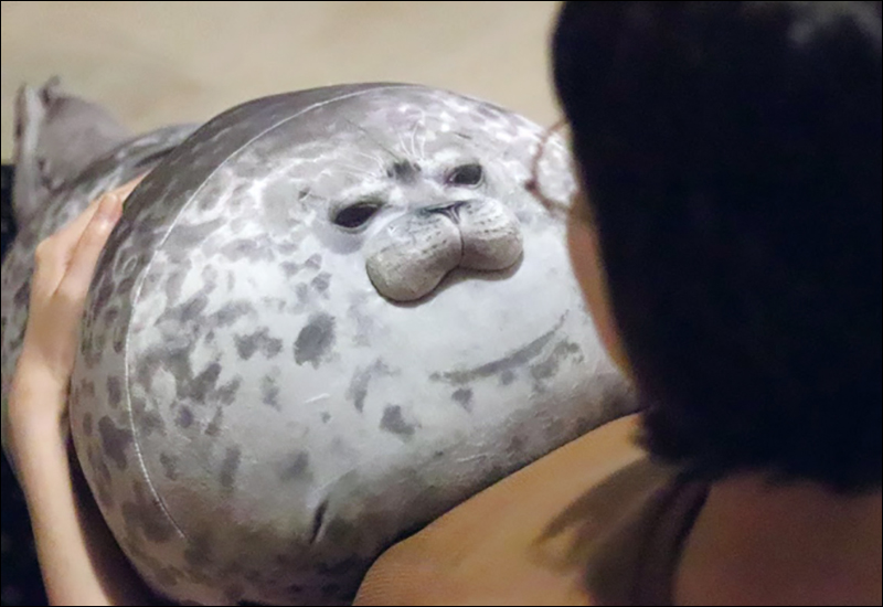 超可愛 ！大阪海遊館與 YOU+MORE! 聯名推出「圓圓海豹抱枕」 - 電腦王阿達