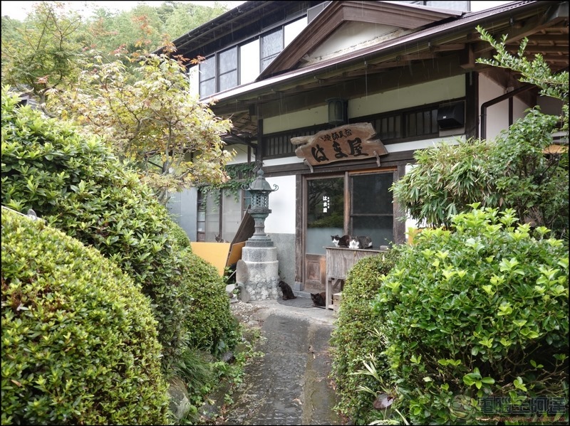 Sony RX100 M7 拍攝樣張 - 26 Sony RX100 M7 拍攝樣張 - 26