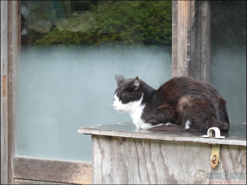 Sony RX100 M7 拍攝樣張 - 28 Sony RX100 M7 拍攝樣張 - 28
