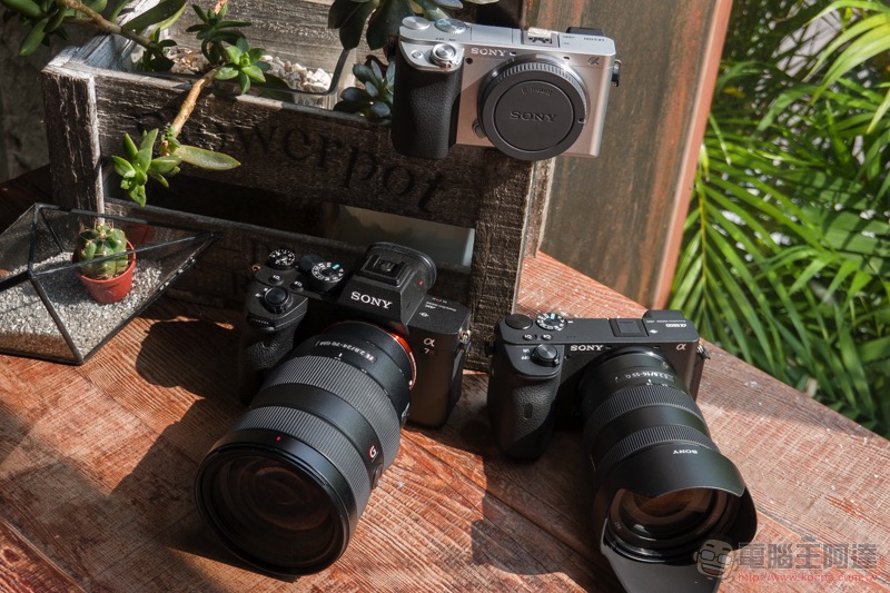 SONY A6600、A6100 SONY A6600、A6100