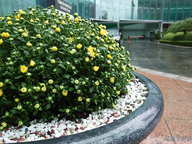 用 Xperia 5 發現都市裡的風景,用另一個角度發現幸福感 - 電腦王阿達 用 Xperia 5 發現都市裡的風景,用另一個角度發現幸福感 - 電腦王阿達