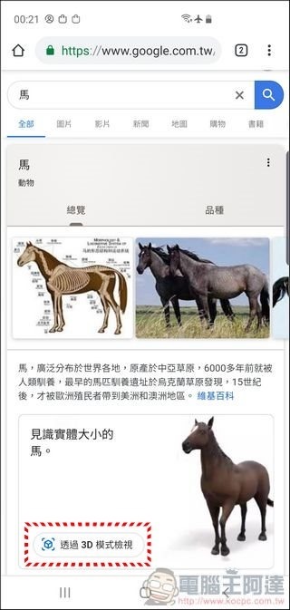 Google 搜尋 AR - 01 Google 搜尋 AR - 01