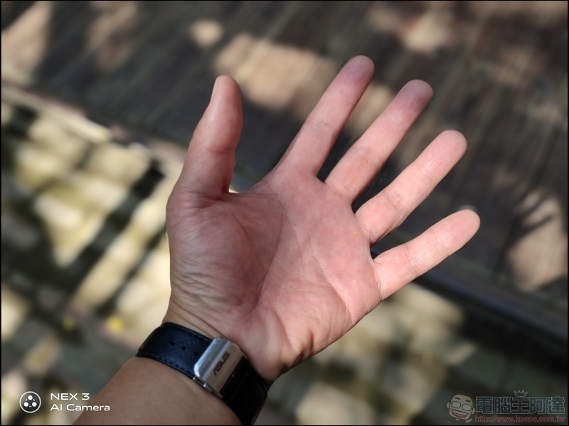 vivo NEX3 攝影樣張 - 65 vivo NEX3 攝影樣張 - 65