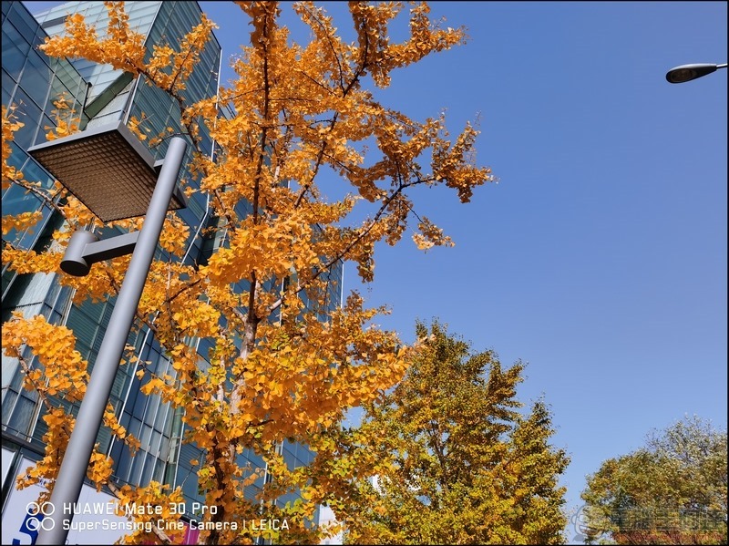 HUAWEI Mate 30 Pro 拍攝樣張 - 08 HUAWEI Mate 30 Pro 拍攝樣張 - 08