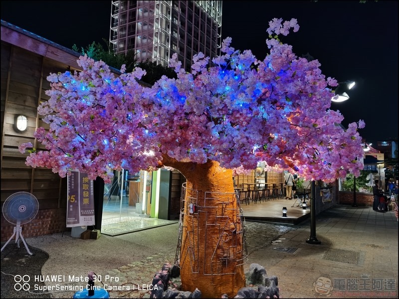 HUAWEI Mate 30 Pro 拍攝樣張 - 40 HUAWEI Mate 30 Pro 拍攝樣張 - 40