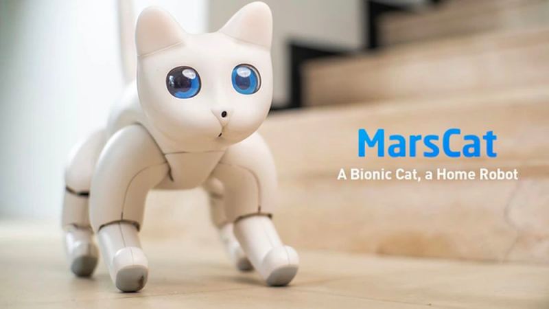 想養貓怕過敏，那來養個 MarsCat 貓型機器人吧！ - 電腦王阿達