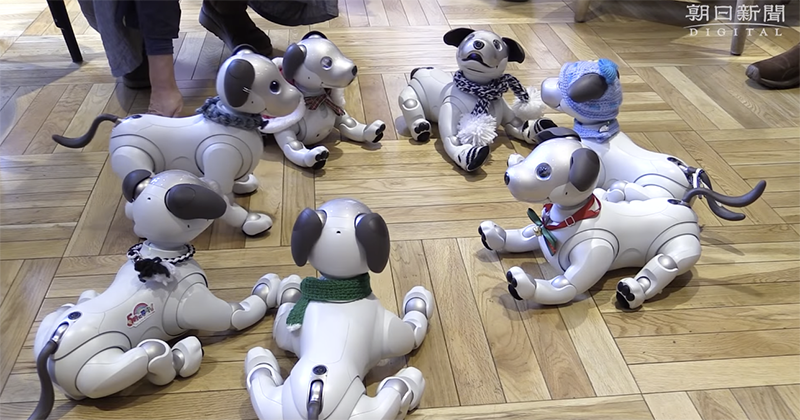 日本 Aibo 機器狗飼主聚會