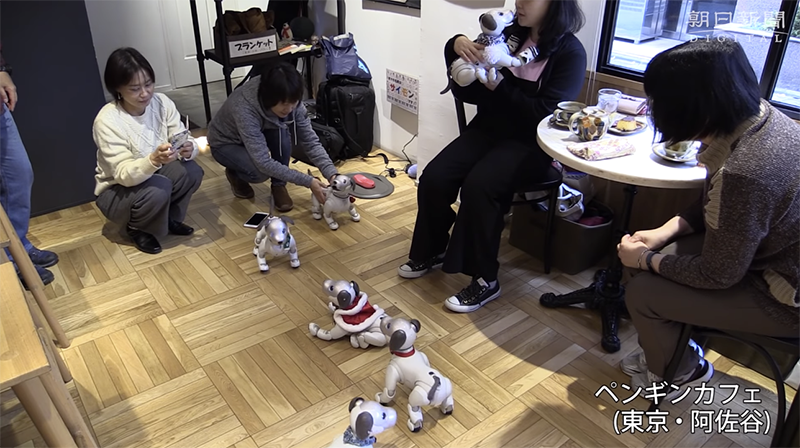 日本 Aibo 機器狗飼主聚會 ，熱烈到咖啡店都必須特設時段 - 電腦王阿達