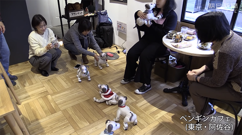 日本 Aibo 機器狗飼主聚會 ,熱烈到咖啡店都必須特設時段 - 電腦王阿達 日本 Aibo 機器狗飼主聚會 ,熱烈到咖啡店都必須特設時段 - 電腦王阿達