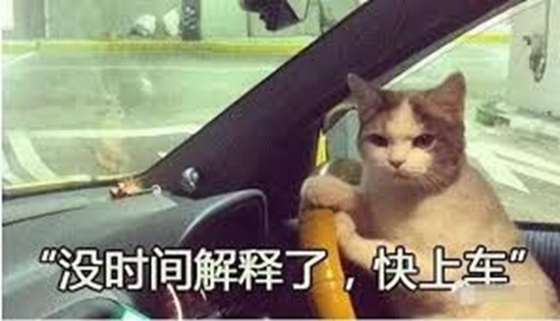images images