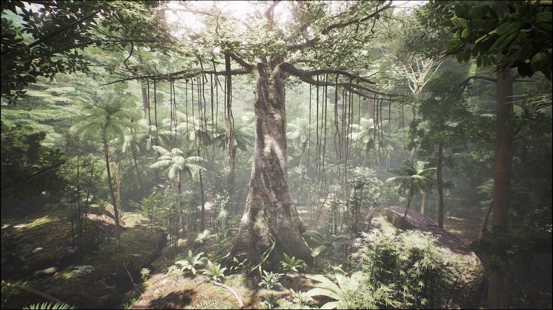 HTC新聞圖(VR for Impact作品《Tree》作品畫面1) HTC新聞圖(VR for Impact作品《Tree》作品畫面1)