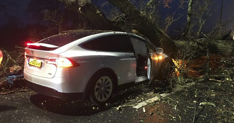 Model X 在同一路口都因自動駕駛倖免於被樹壓的大難 Model X 在同一路口都因自動駕駛倖免於被樹壓的大難