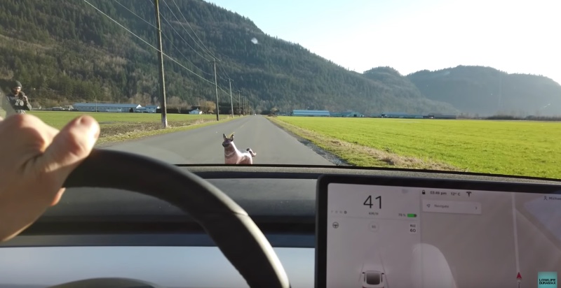 特斯拉 Model 3 自動輔助駕駛模式實測，人突然出現、狗狗、三角錐放在前方會撞到嗎？ - 電腦王阿達