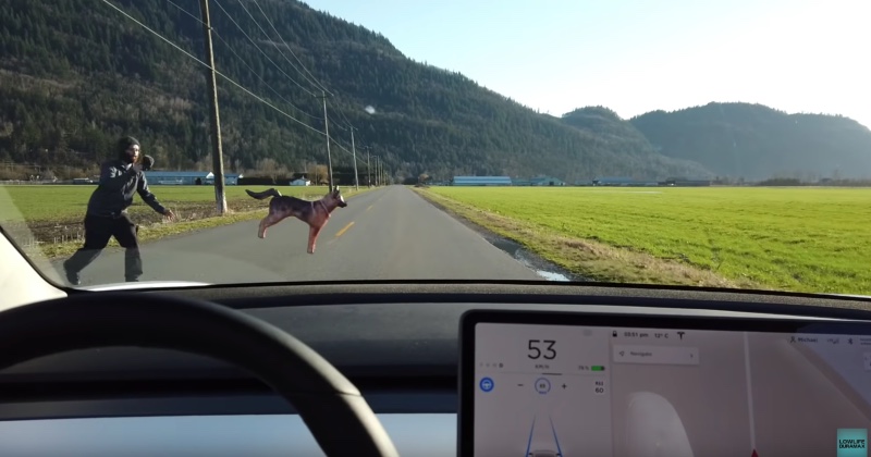 特斯拉 Model 3 自動輔助駕駛模式實測,人突然出現、狗狗、三角錐放在前方會撞到嗎? - 電腦王阿達 特斯拉 Model 3 自動輔助駕駛模式實測,人突然出現、狗狗、三角錐放在前方會撞到嗎? - 電腦王阿達