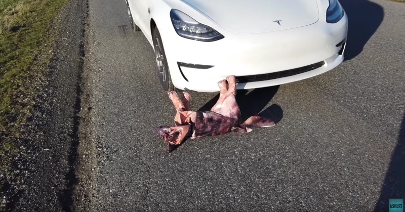 特斯拉 Model 3 自動輔助駕駛模式實測,人突然出現、狗狗、三角錐放在前方會撞到嗎? - 電腦王阿達 特斯拉 Model 3 自動輔助駕駛模式實測,人突然出現、狗狗、三角錐放在前方會撞到嗎? - 電腦王阿達