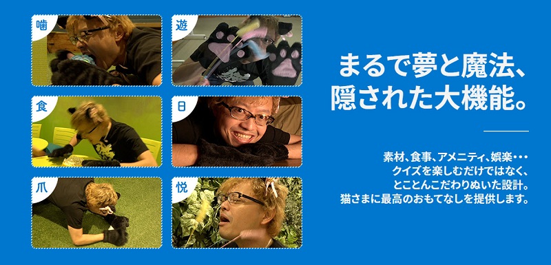 HORI攜手《問答RPG 魔法使與黑貓維茲》將推出「NYAN-CON」貓咪專用控制器 - 電腦王阿達 HORI攜手《問答RPG 魔法使與黑貓維茲》將推出「NYAN-CON」貓咪專用控制器 - 電腦王阿達