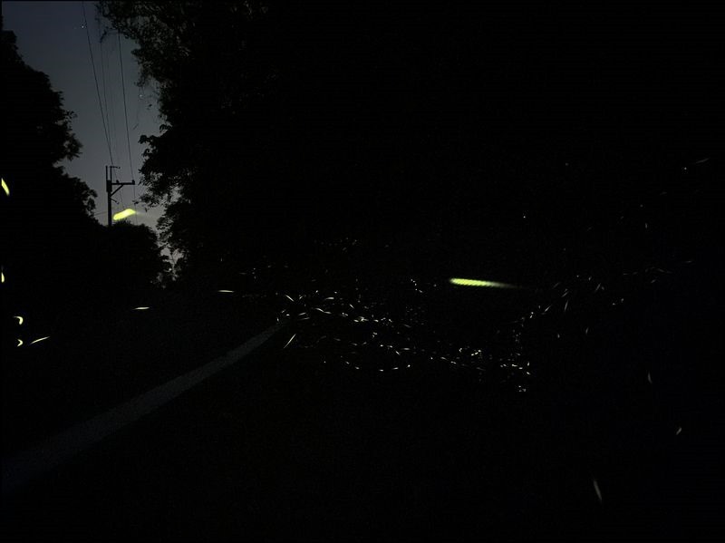 iPhone 11 Pro Max Night mode iPhone 11 Pro Max Night mode