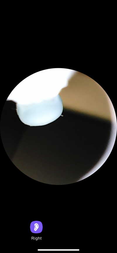 IMG_5017.PNG IMG 5017
