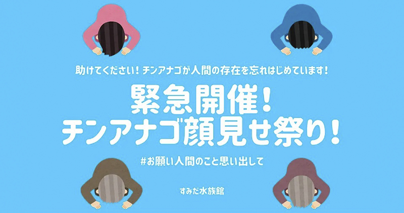 花園鰻危機 花園鰻危機