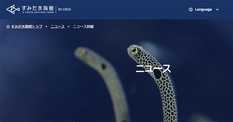 長時間休館造成「 花園鰻危機 」 日本水族館號招網友 Face Time 露臉互相療癒 - 電腦王阿達 長時間休館造成「 花園鰻危機 」 日本水族館號招網友 Face Time 露臉互相療癒 - 電腦王阿達