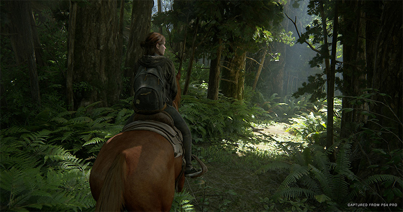 PS4 Pro《The Last of Us Part II》特別版主機、週邊於 6/19 與遊戲同步開賣 - 電腦王阿達