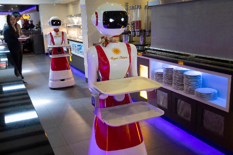 荷蘭餐廳採用機器人服務生來保持社交距離 ，真的讓人想保持距離（咦） - 電腦王阿達
