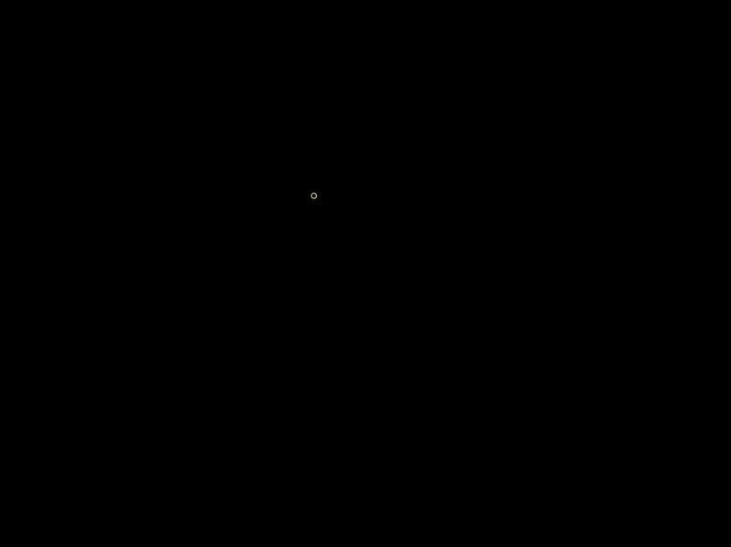 03 03