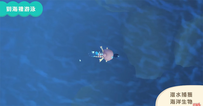 《集合啦！動物森友會》夏季免費更新第一彈即將釋出，潛水、海洋生物、新 NPC 來報到 - 電腦王阿達