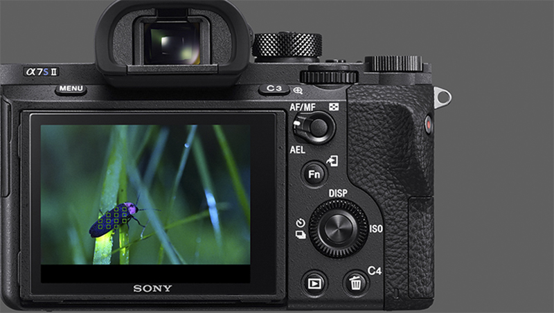 眾所期待的 A7S III 確認夏季稍晚登場 ,4K/60P、10-bit 4:2:2 與 RAW 的需求 Sony 都有看到(!) - 電腦王阿達 眾所期待的 A7S III 確認夏季稍晚登場 ,4K/60P、10-bit 4:2:2 與 RAW 的需求 Sony 都有看到(!) - 電腦王阿達