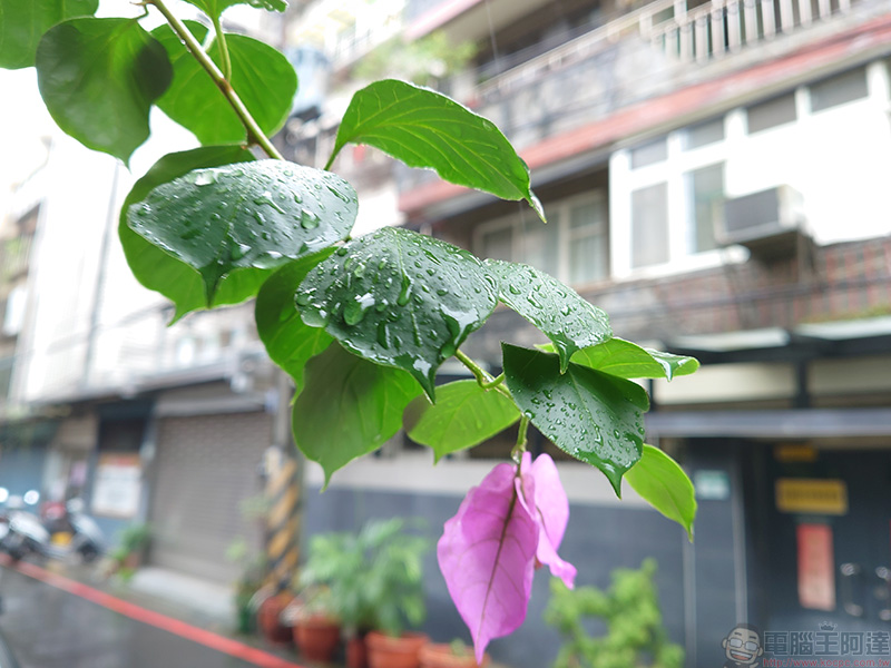 用 Xperia 5 II 抓住城市裡每個不起眼的感動,幸福感不一定要靠旅行 - 電腦王阿達 用 Xperia 5 II 抓住城市裡每個不起眼的感動,幸福感不一定要靠旅行 - 電腦王阿達
