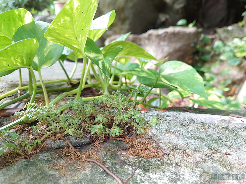 用 Xperia 5 II 抓住城市裡每個不起眼的感動,幸福感不一定要靠旅行 - 電腦王阿達 用 Xperia 5 II 抓住城市裡每個不起眼的感動,幸福感不一定要靠旅行 - 電腦王阿達