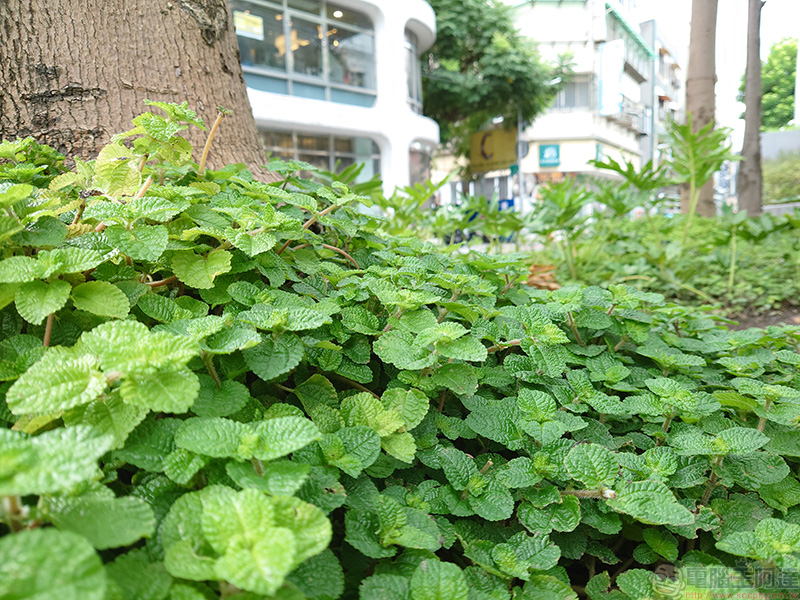 用 Xperia 5 II 抓住城市裡每個不起眼的感動,幸福感不一定要靠旅行 - 電腦王阿達 用 Xperia 5 II 抓住城市裡每個不起眼的感動,幸福感不一定要靠旅行 - 電腦王阿達