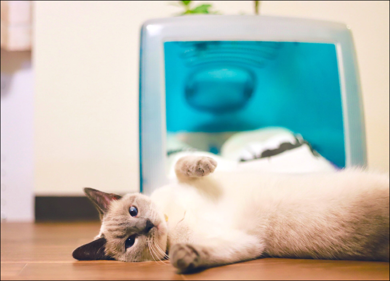 日本網友 DIY 將 Apple iMac G3 改造為貓星人的家 - 電腦王阿達