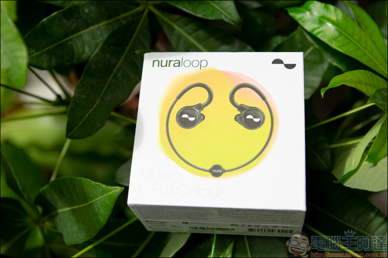 NuraLoop 隨型個人化智慧耳機，首款AI自動偵測打造屬於個人音頻，搭配ANC主動降噪讓你享受一人音樂世界 - 電腦王阿達