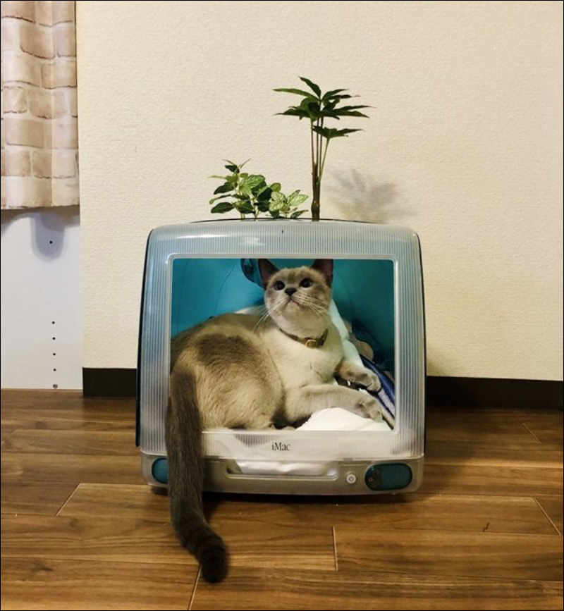 日本網友 DIY 將 Apple iMac G3 改造為貓星人的家 - 電腦王阿達 日本網友 DIY 將 Apple iMac G3 改造為貓星人的家 - 電腦王阿達