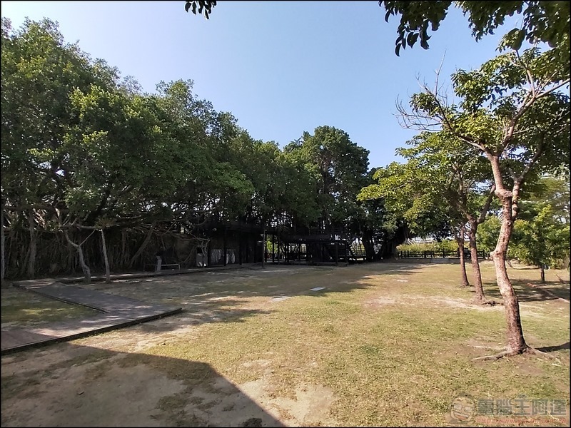 HTC Desire 20 拍攝樣張 - 06 HTC Desire 20 拍攝樣張 - 06
