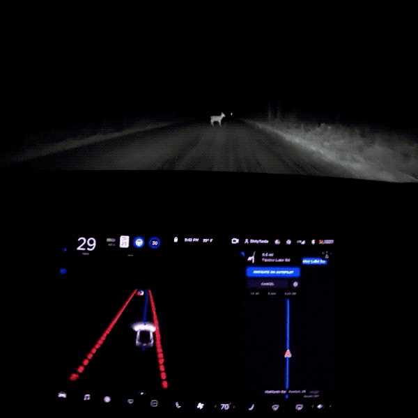 特斯拉新版自動駕駛 FSD Beta 遭遇「真 · 麋鹿挑戰（還是晚上）」會發生什麼事？一起看看吧（影片） - 電腦王阿達