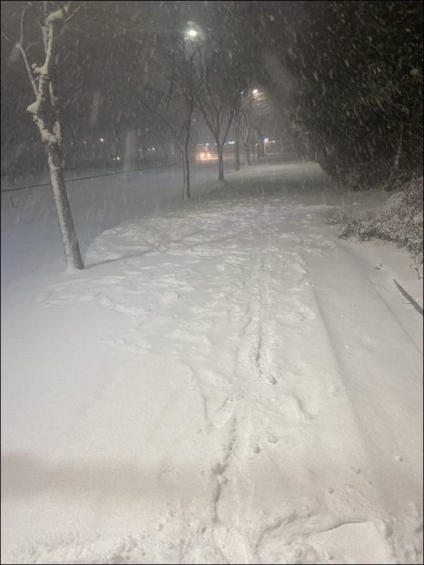 AirPods 為什麼是白色的?韓國網友不慎將耳機掉在雪堆,崩潰怒飆粗口 - 電腦王阿達 AirPods 為什麼是白色的?韓國網友不慎將耳機掉在雪堆,崩潰怒飆粗口 - 電腦王阿達