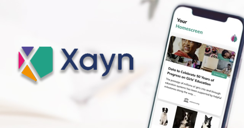 不想被演算法塞貨？Xayn 應用提供更友好、隱私更高的網路搜尋 - 電腦王阿達